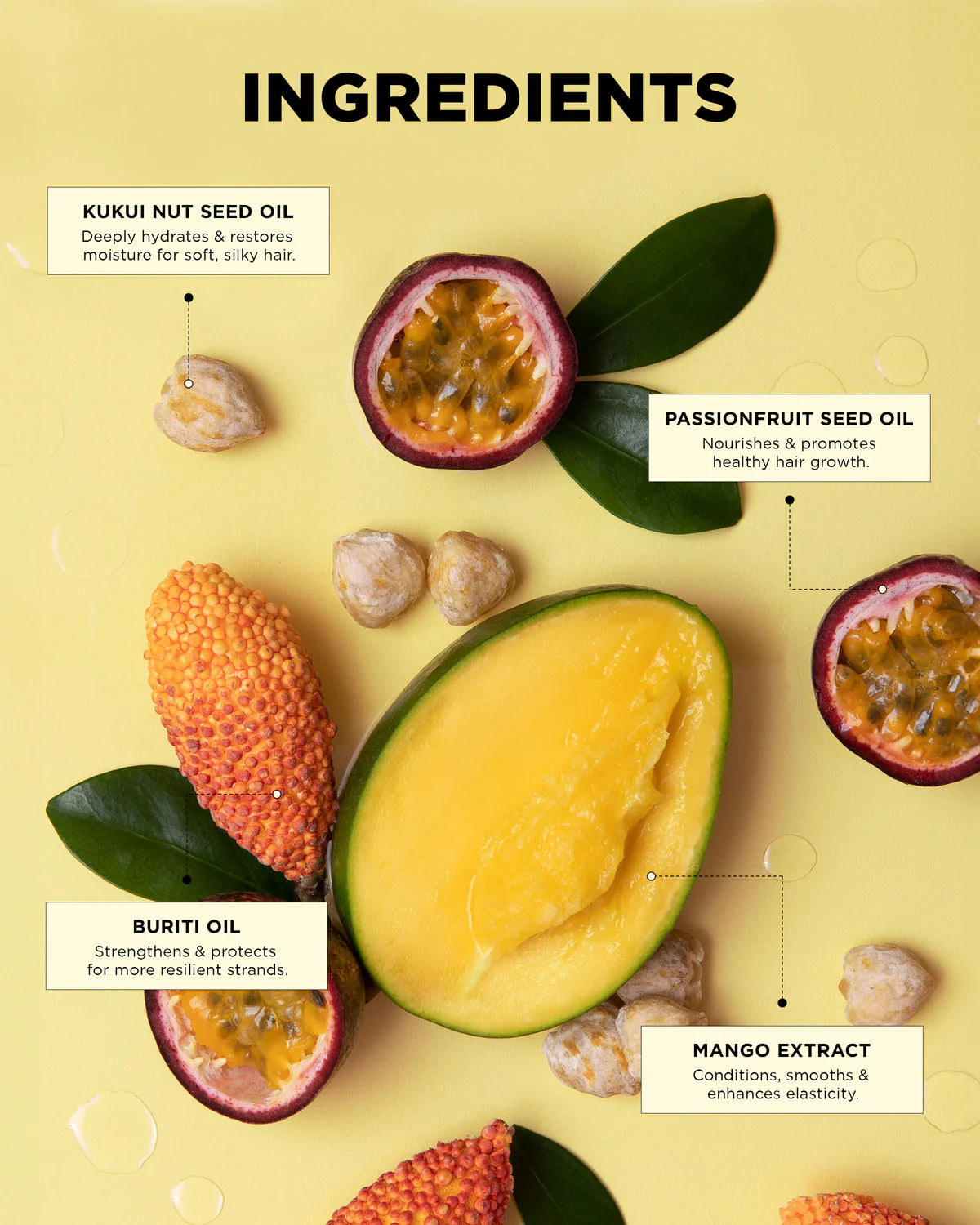 Dream Mane - Curl Kit