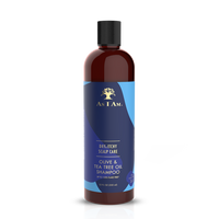 AS I AM - Dry & Itchy Scalp Care - Olive & Tea Tree Oil Shampoo (12oz) BEAUTY BRAIDS & BEYOND.     Beauty Braids and Beyond Online Beauty Supply Canada | Toronto | Ottawa | Montreal | Vancouver |